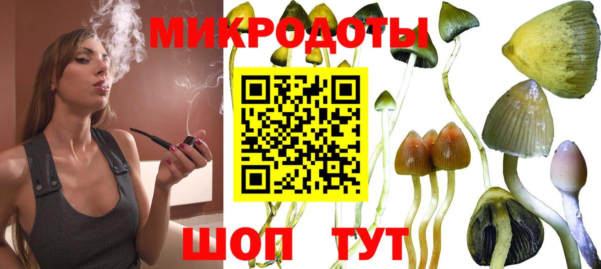 Псилоцибиновые грибы Magic Shrooms  Вход с VPN  Псилоцибиновые грибы Magic Shrooms  Зеленогорск 